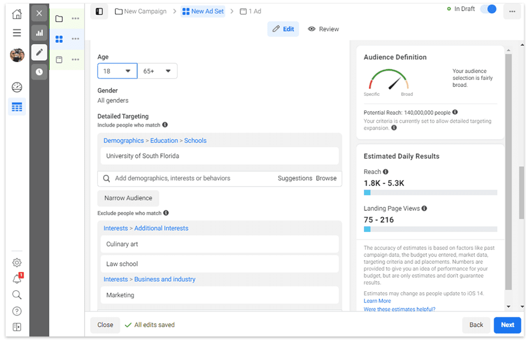 Facebook and Instagram ad audience overview