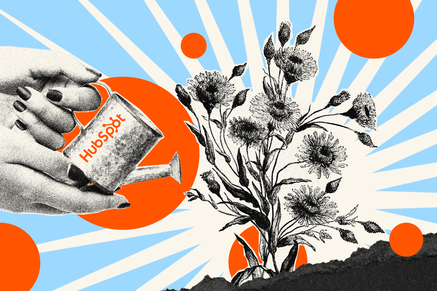 Collage of a HubSpot watering can tending to growing flowers that represent a nonprofit.