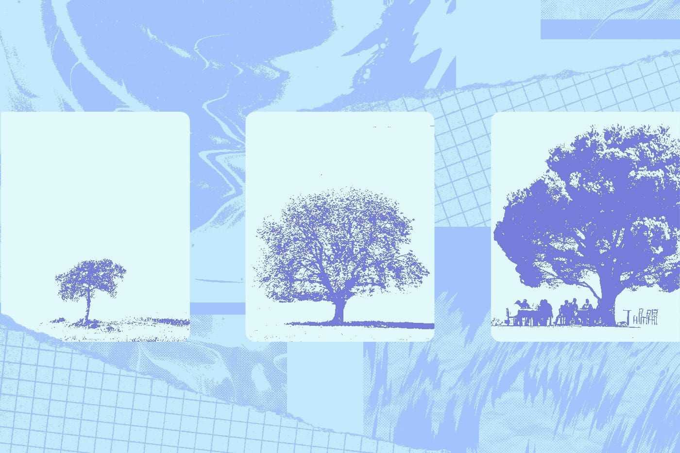 3 photos showing the growth of a tree trying to symbolize how a donor can grow into a legacy donor