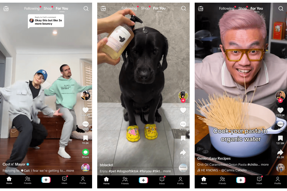 TikTok video samples