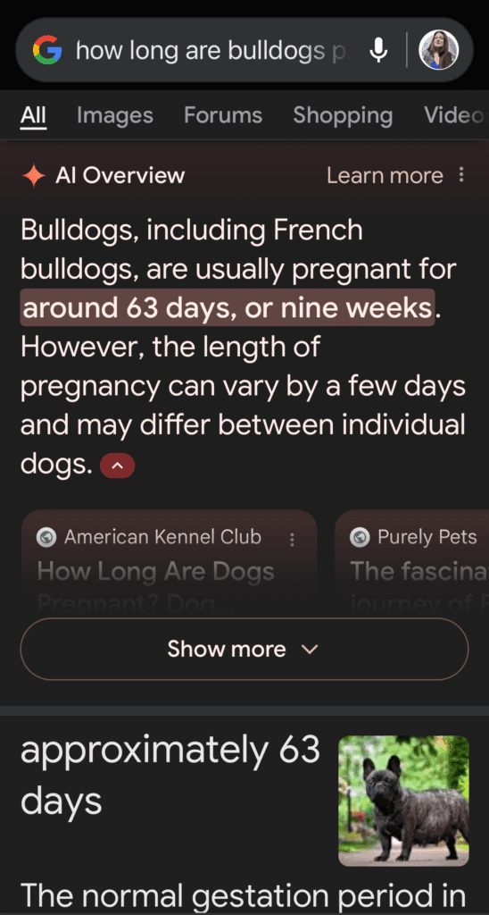 An example of how to use Google SGE on a mobile phone