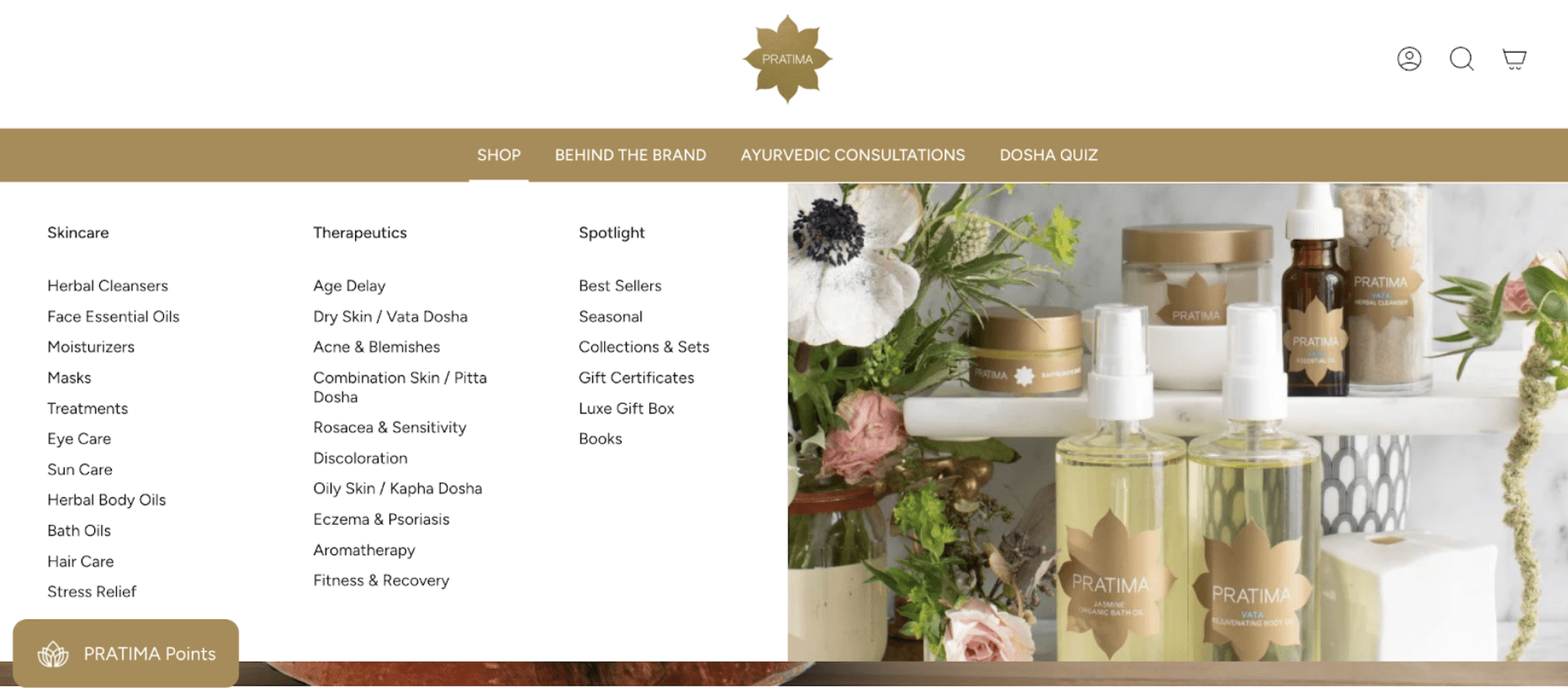 A screenshot of a website showing how when you mouse over the top-level nav, you get a very well-organized mega menu. Product categories are organized simply and intuitively, which is excellent for the user experience.