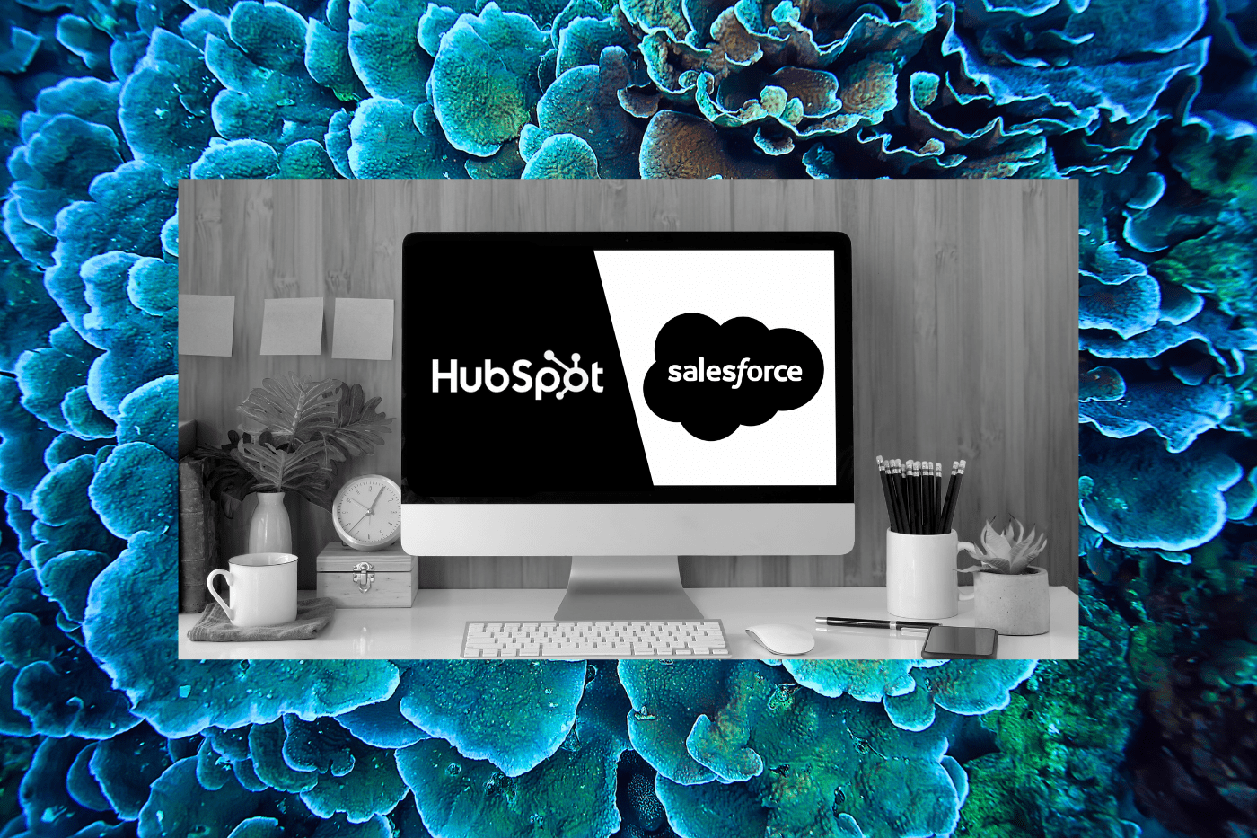 Computer monitor on a modern office desk displaying HubSpot and Salesforce logos side by side, illustrating a CRM comparison for businesses choosing between HubSpot vs. Salesforce based on team needs and budget.