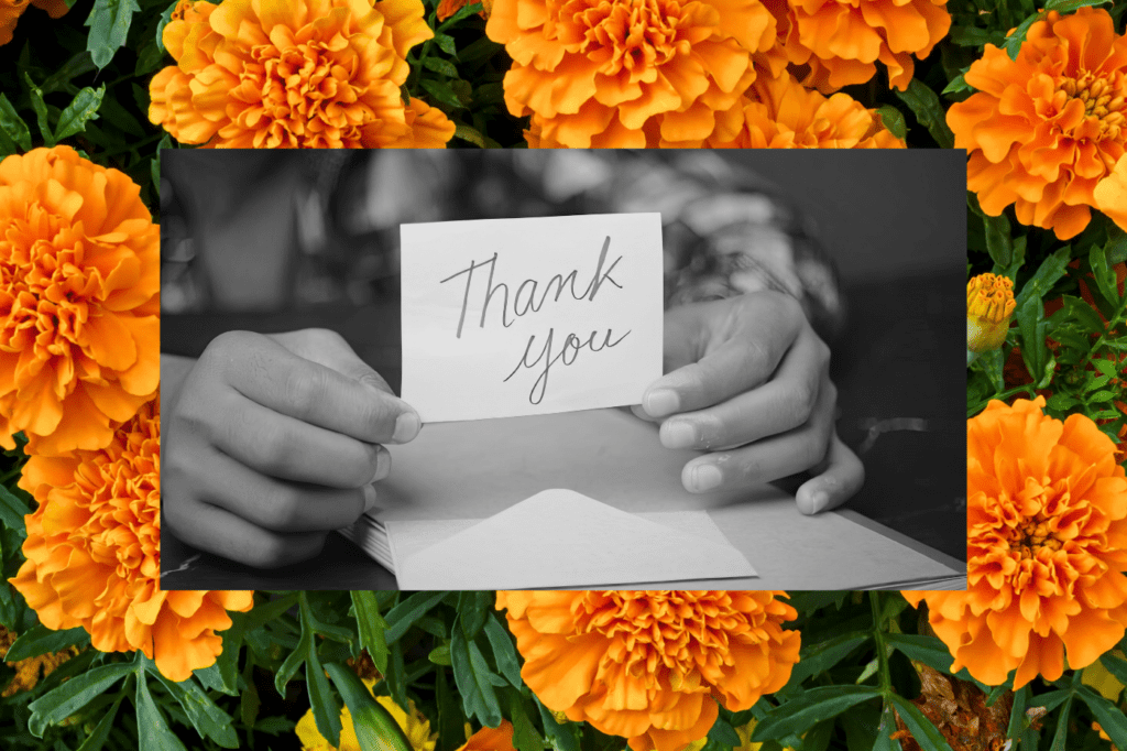 Hands holding a handwritten “Thank You” card above an envelope, set against a background of bright orange flowers, representing donor thank-you letters and nonprofit donor stewardship.