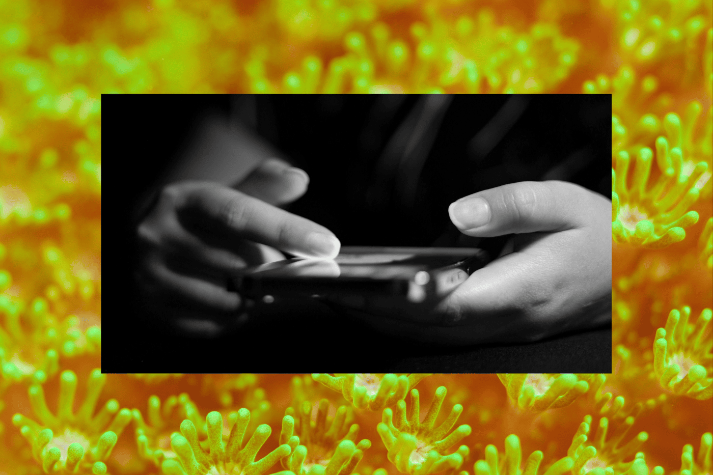 Illustration of a person using a smartphone over a digital background representing AEO vs. GEO and AI search visibility.